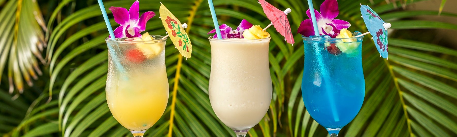 メニュー スプラッシュ・バー