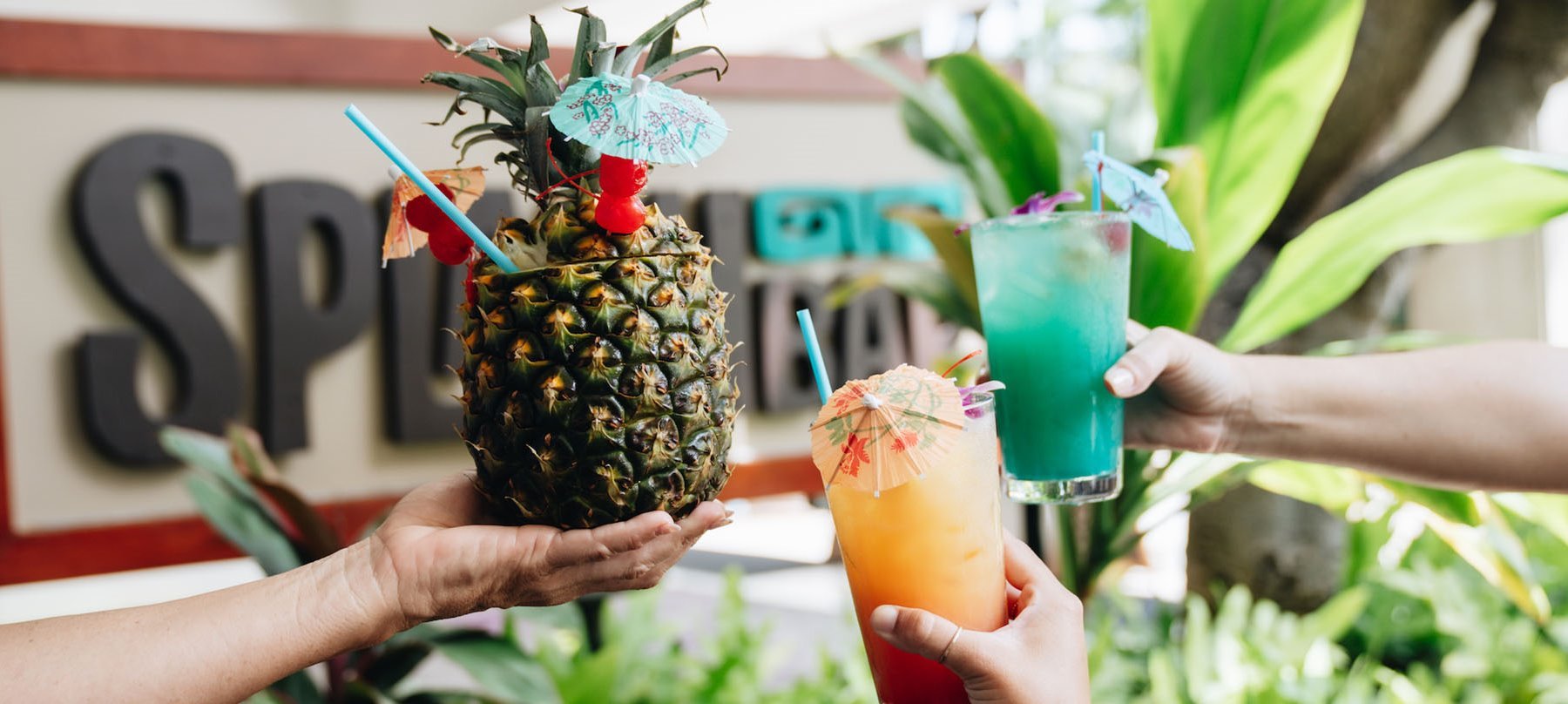 Restaurants in Waikiki Splash Bar Waikiki Waikiki Bar