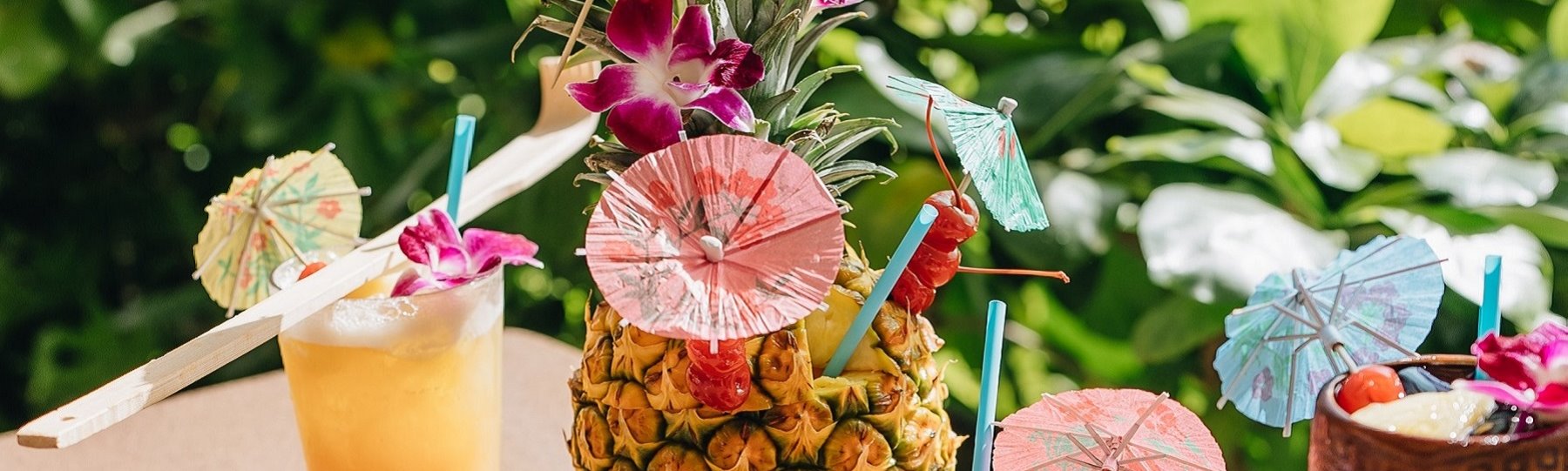 Best Happy Hour Waikiki Splash Bar Waikiki